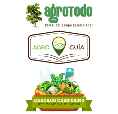 Directorios Web Medicos 